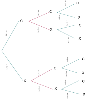 Ejemplo de diagrama del arbol